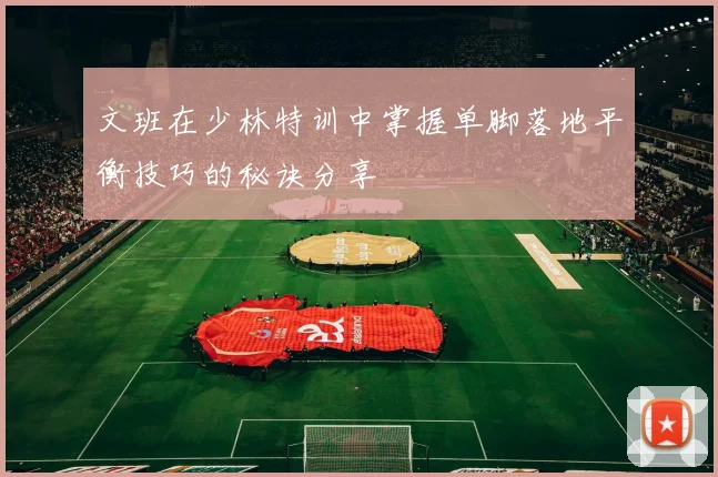 文班在少林特训中掌握单脚落地平衡技巧的秘诀分享